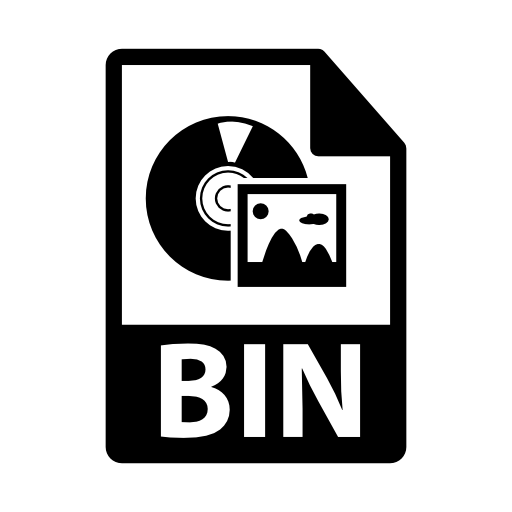 bin file
