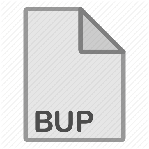 bup file