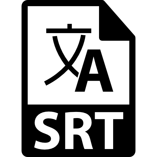 srt file